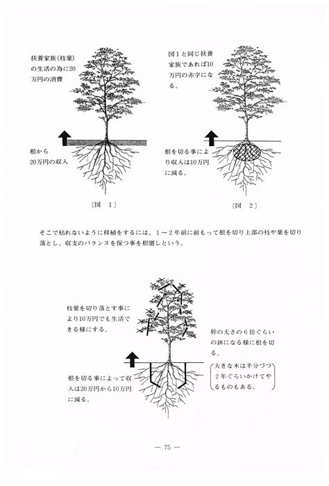 樹木移植注意事項